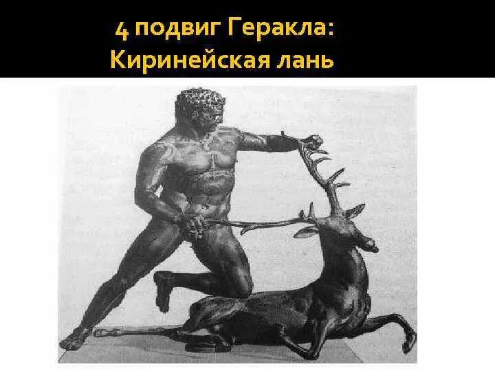 Олива геракла ассасин крид одиссея. Олива геракла. Керинейская лань подвиг геракла. Геркулес фарнезский эрмитаж. 12 подвигов геракла керинейская лань.