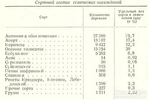 Таблица яблок