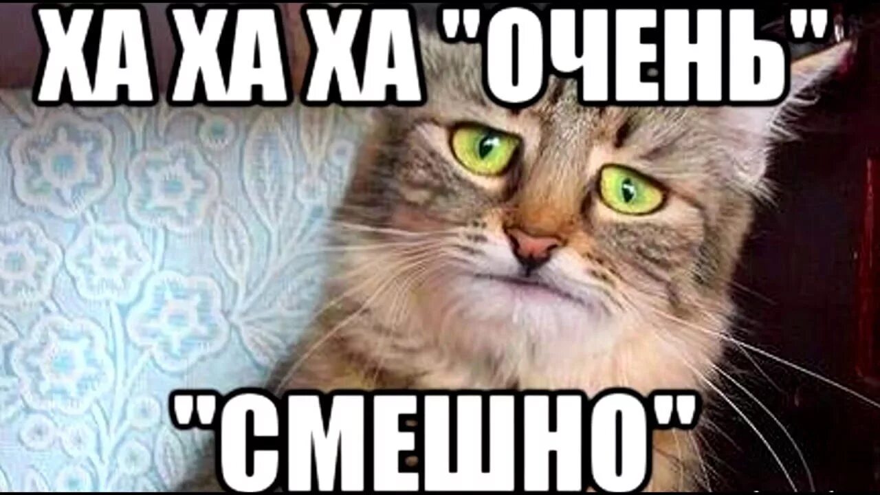 Работа в техподдержке приколы. Мемы очень интересно. Слишком сложно. Очень сложно до свидания мем. Дисклеймер громкие звуки.