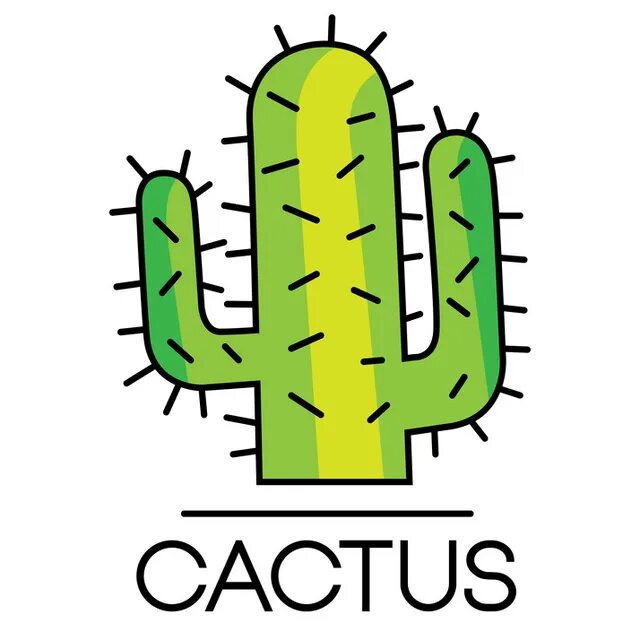 Cacti бренд. Магазин кактусов. Кактус shop. Кактусы из магазина. Канцелярские товары с кактусом.