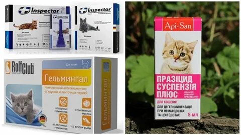 Глистогонное для котят 2 месяца