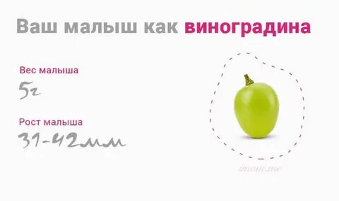 10 неделя беременности сколько