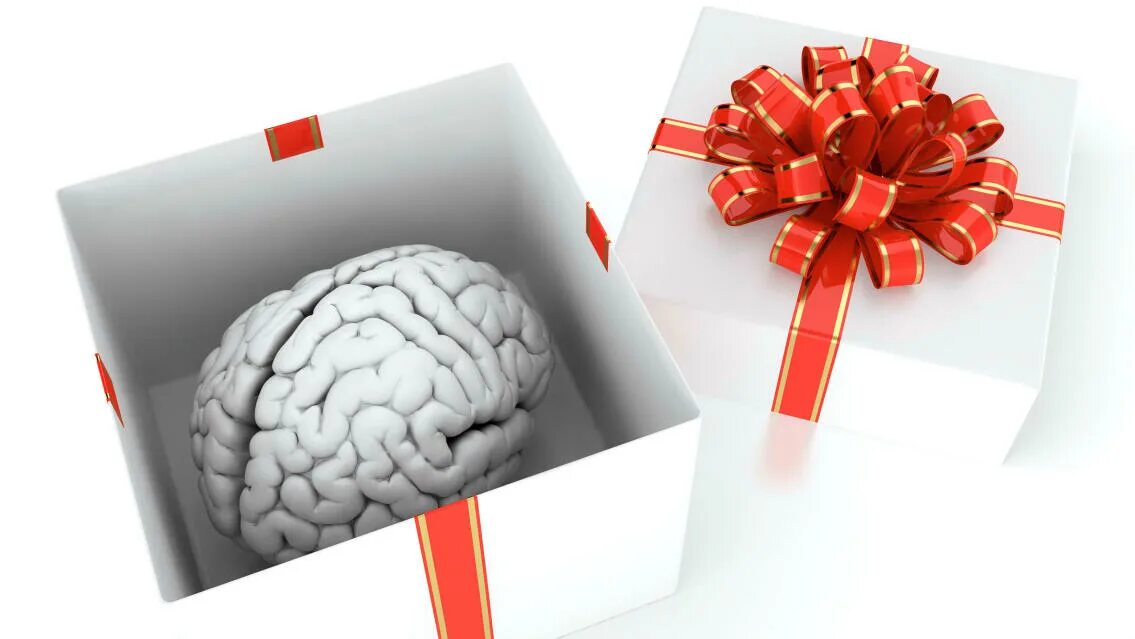 мозги коробочки. мозг в коробочке. мозги в подарок. мозг в подарок. мозги коробочки.
