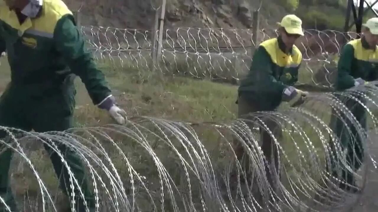 Монтаж колючей проволоки егоза. Пклз акация. Станок для проволоки егоза. Станок для производства колючей проволоки егоза. Ягоза или егоза проволока.