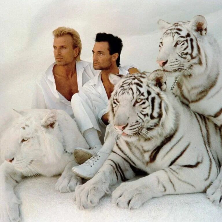 Siegfried & Roy. Зигфрид и Рой. Зигфрид и Рой в молодости. Зигфрид и Рой нападение. Рой и ласт