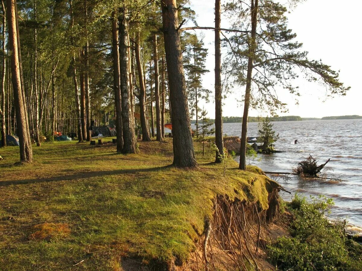 Дубна Московское море Иваньковское водохранилище. Завидово Иваньковское водохранилище. Пляж Дубна Иваньковское водохранилище. Московское море Тверская область. Иваньковский водоем