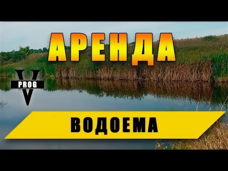Какие пруды в аренде. Какие пруды в аренде
