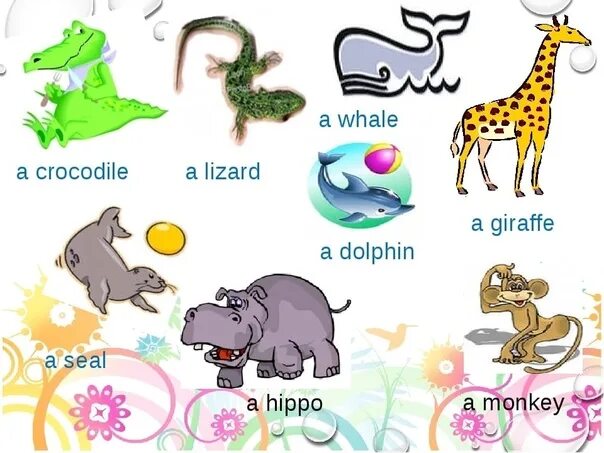 Животные на английском языке. Животные на английском для детей в картинках. Английские слова животные. Животные на английском языке 2 класс. Транскрипция слова слон