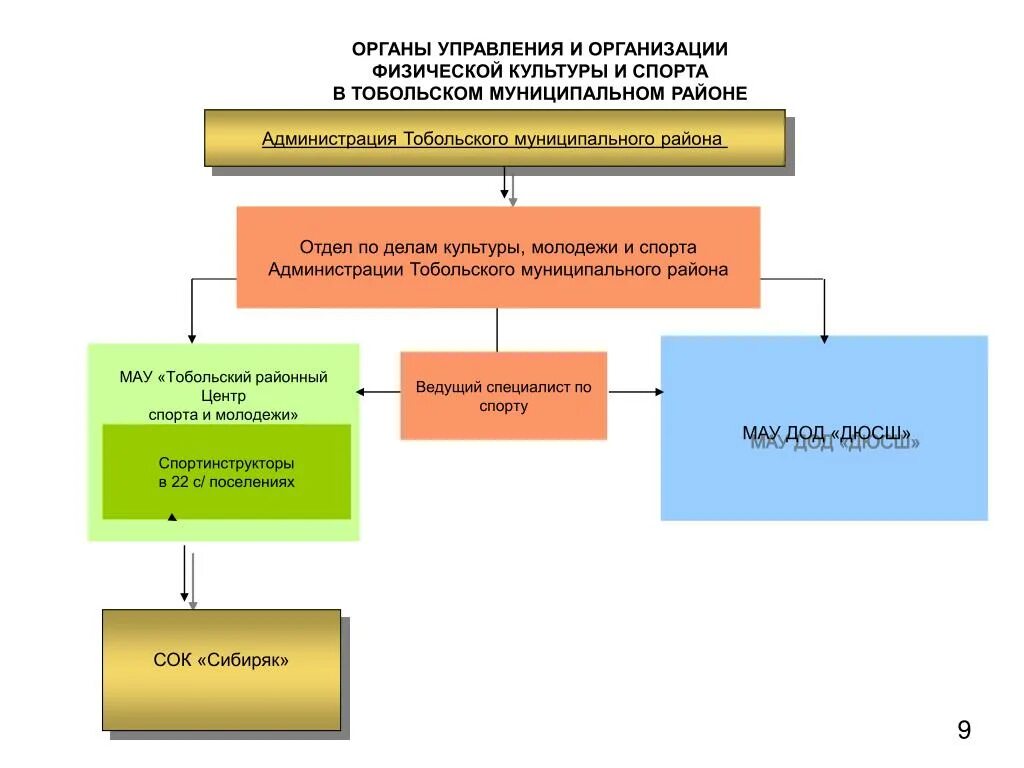 Органы управления физической культурой и спортом. Районный отдел культуры Тобольского района. Структура управления физической культурой и спортом. Структура управления культуры и спорта. Управление культурными учреждениями