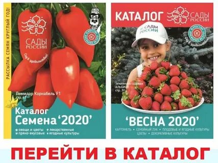 Voice collection дачная ул 2 отзывы