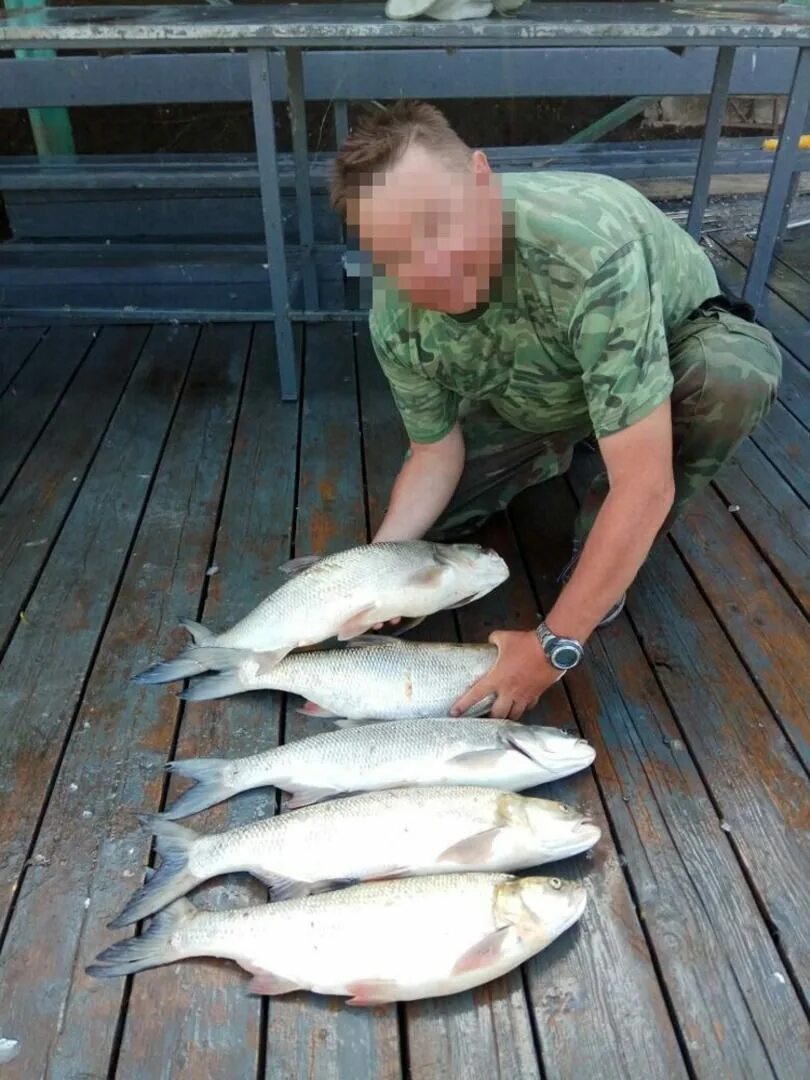 Рыболовный кубок. База отдыха маково, село маково. Маково астраханская область. Погода маково астраханской. Маково астраханская область.