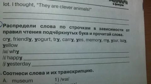 Распределить слова по строчкам в зависимости