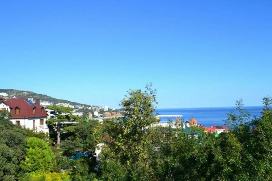 Баттерфляй мисхор. Баттерфляй мисхор. Баттерфляй-мисхор гостевой дом в мисхоре. 40"б". Баттерфляй мисхор крым.