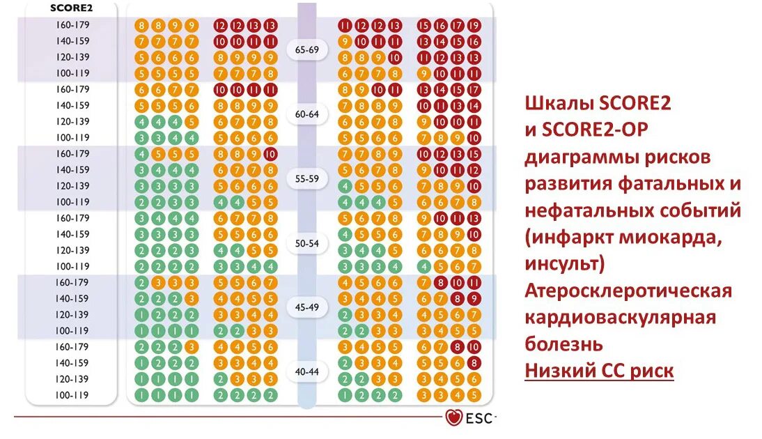 Таблица скоре. Шкала сердечно-сосудистого риска score 2. Шкала риска score 2019. Шкала score 2020. Шкала score для оценки риска сердечно сосудистых заболеваний 2021.