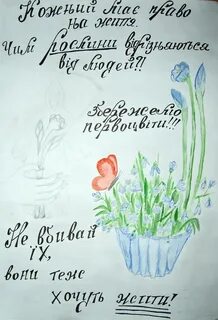 Сохраним первоцветы