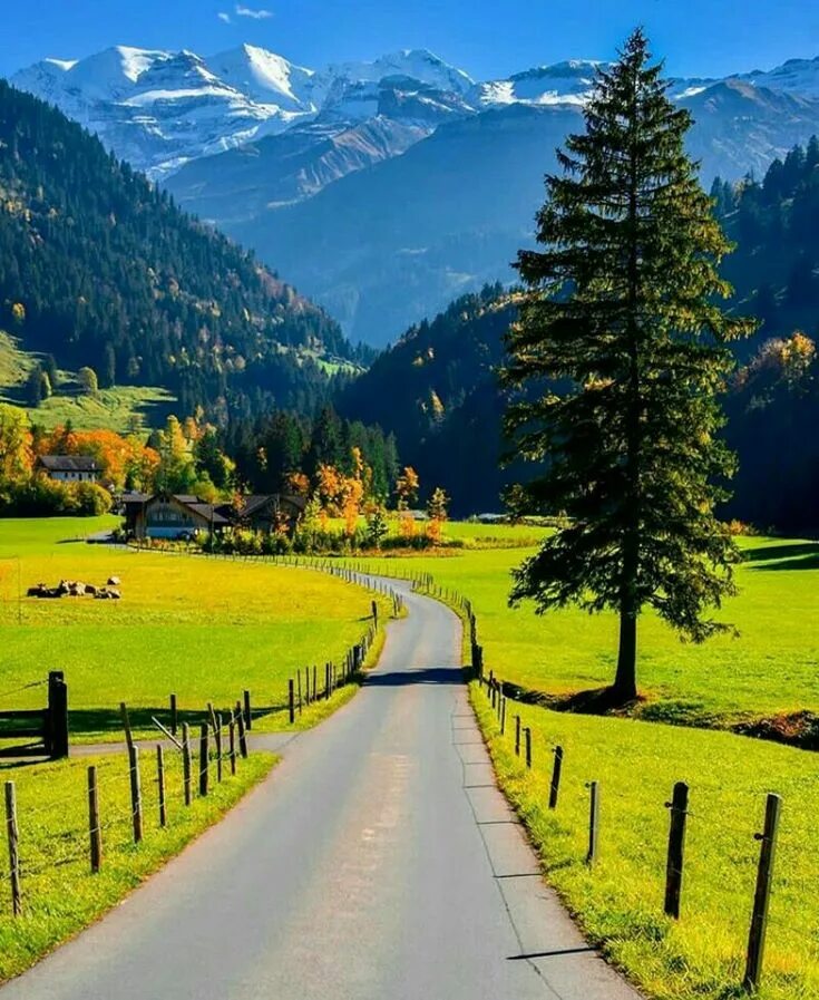Швейцария. Швейцария манзаралари. Альпы Швейцария. Швейцария табиати. See them beautiful