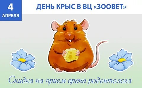 День крысы