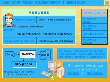 Аналогия человек