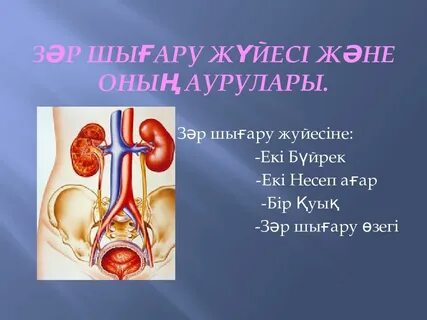 Виктория Бонни туралы барлық порно видеолар