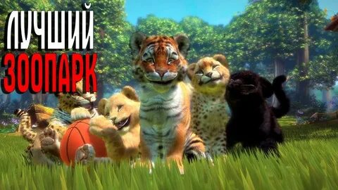 Видео про животных 4