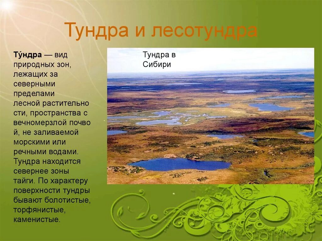 Природные зоны Евразии 7. Зона лесотундры и тундры география. Зона тундры Евразии растительность. Природные зоны материка Евразия. Дать характеристику природной зоне тундра