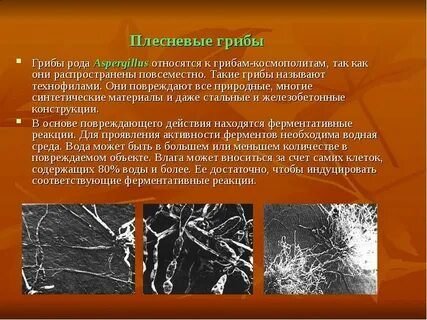 Повреждение объекта это