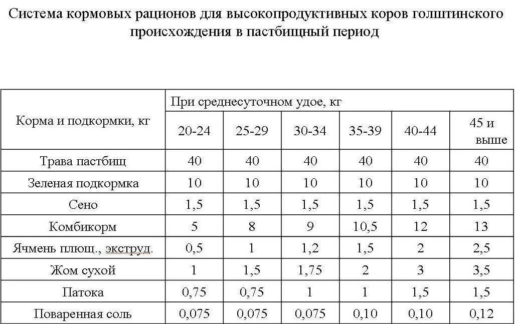 Основные группы кормов. Рацион для дойных коров на летний период. Рацион КРС дойных коров. Рацион кормления голштинской породы коров. Рацион кормления КРС молочного направления.