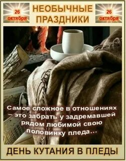 День пледа 26 октября