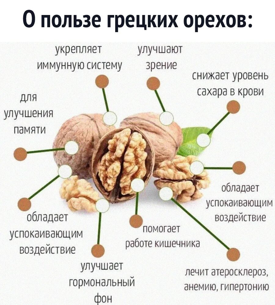 Грецкий орех и мозг. Чем полезны орехи. Польза орехов. Грецкий орех польза.