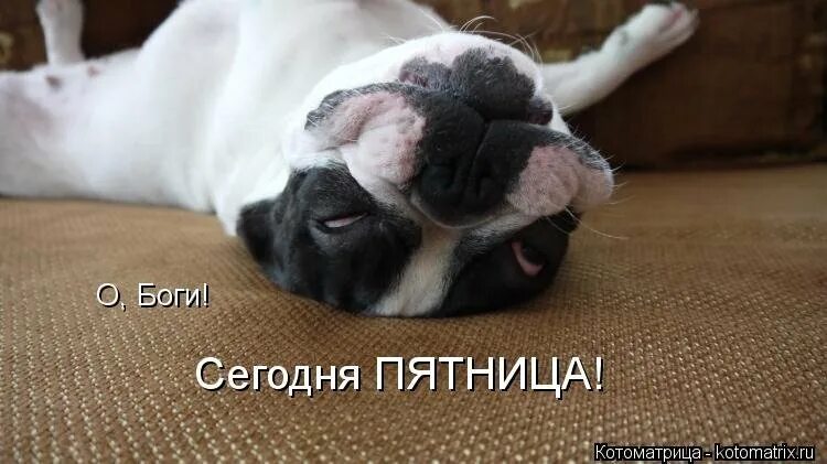 Конец субботы. Наконец то пятница. наконец то пятница приколы. весёлой пятницы картинки. сегодня пятница.