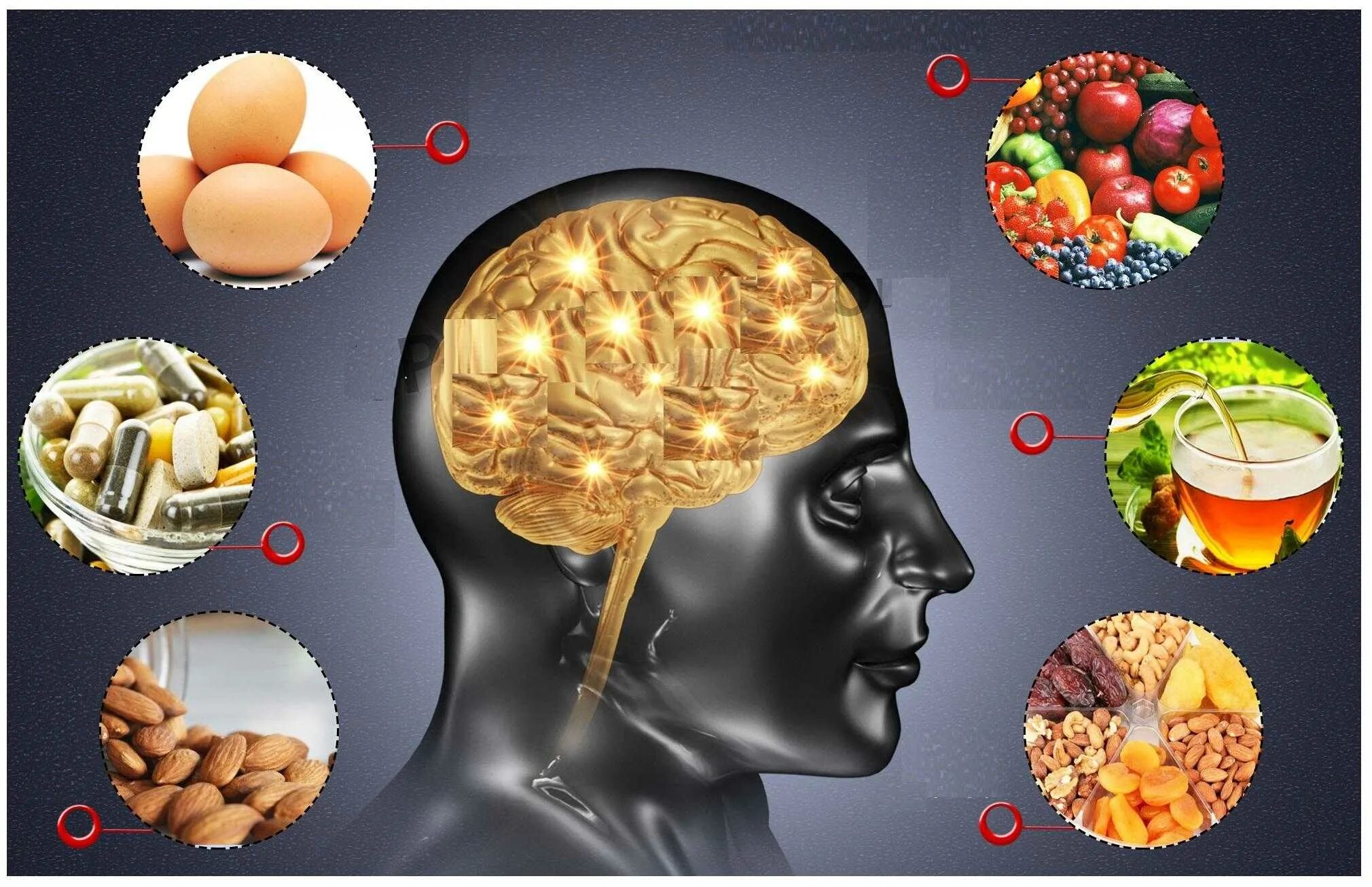 Мозг и еда дэвида. Питание для мозга. Вредные продукты для мозга. Еда полезная для мозга. Продукты полезные для мозга.