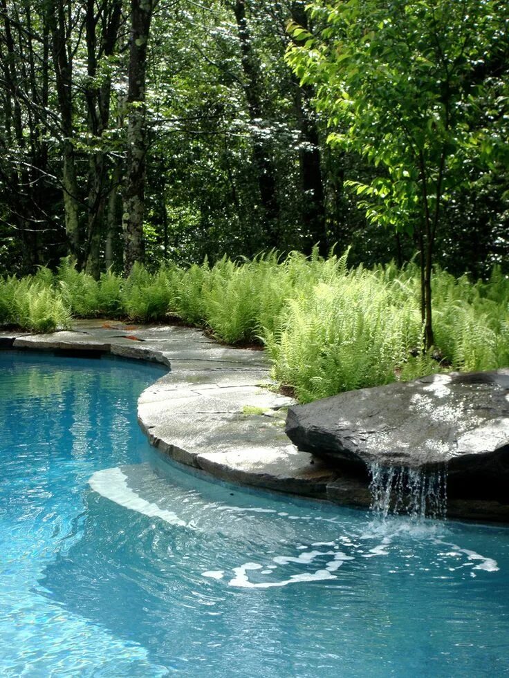 Plant pool. Бассейны и пруды. Водопад в саду. Ландшафтный бассейн. Пруд бассейн с водопадом.