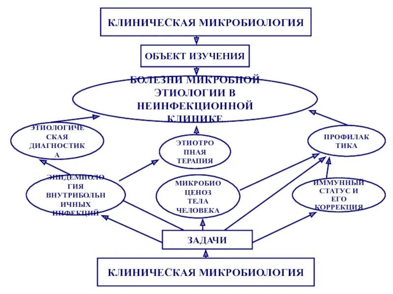 Цель микробиологии. Цель микробиологии