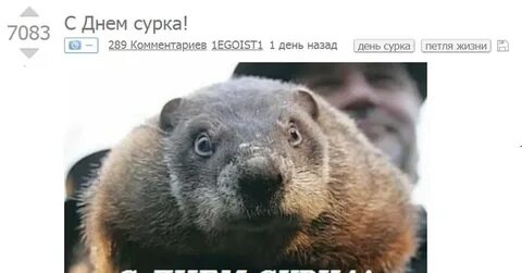 День сурка что это значит
