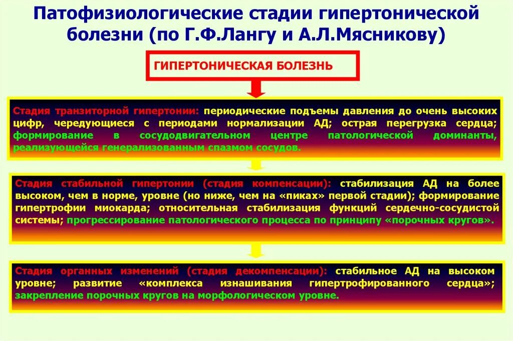 Развитие гипертензии. Развитие гипертензии