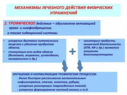 Системы лечебных воздействий