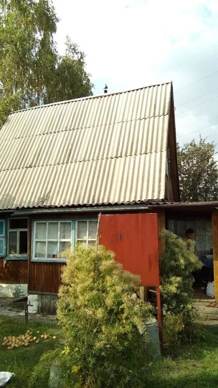 шагаловский новосибирск. чик новосибирская область. станция чик новосибирская область. снт бабкина дача 2. шагаловский снт юбилейный.