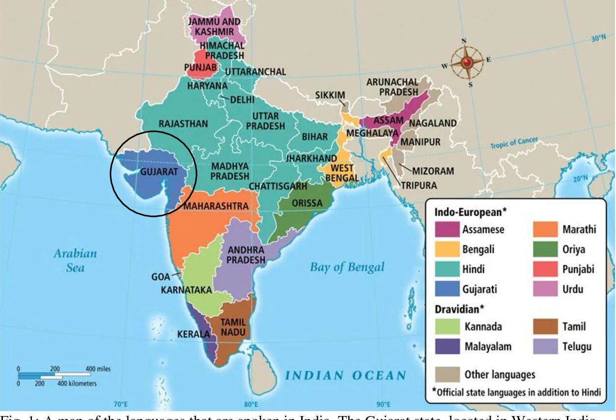 Языковая карта Индии. Хинди язык карта. Карта языков Индии. Народы Индии карта.