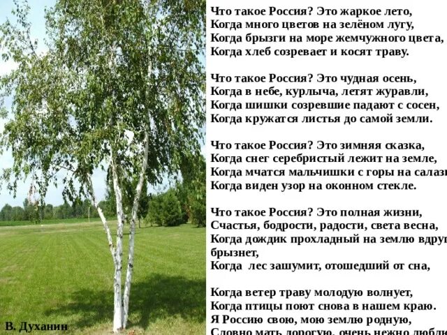 Текст песни у дуба старого. Стихотворение что такое Россия это жаркое лето. Стих про Россию. Духанин Россия стихотворение. Что такое Россия это жаркое лето Духанин.