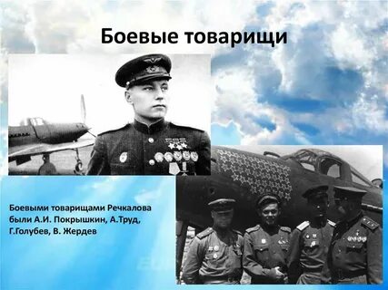 Боевой товарищ