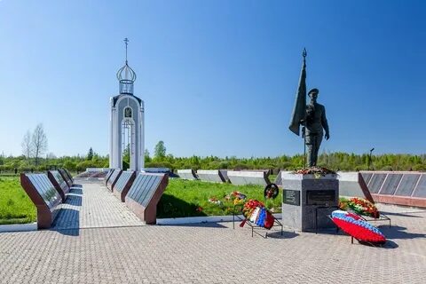 Мясной бор новгородская область