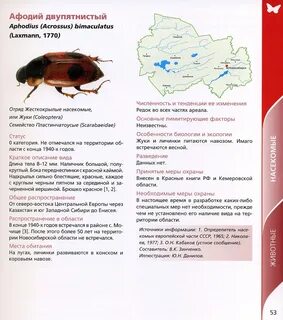 Новосибирская красная книга животные