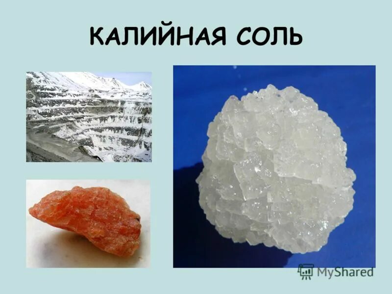 Мел магматическая горная порода. Калийная соль это Сильвинит. Калийная соль Горная порода. Калийно магниевые соли. Калийные и магнезиальные соли.