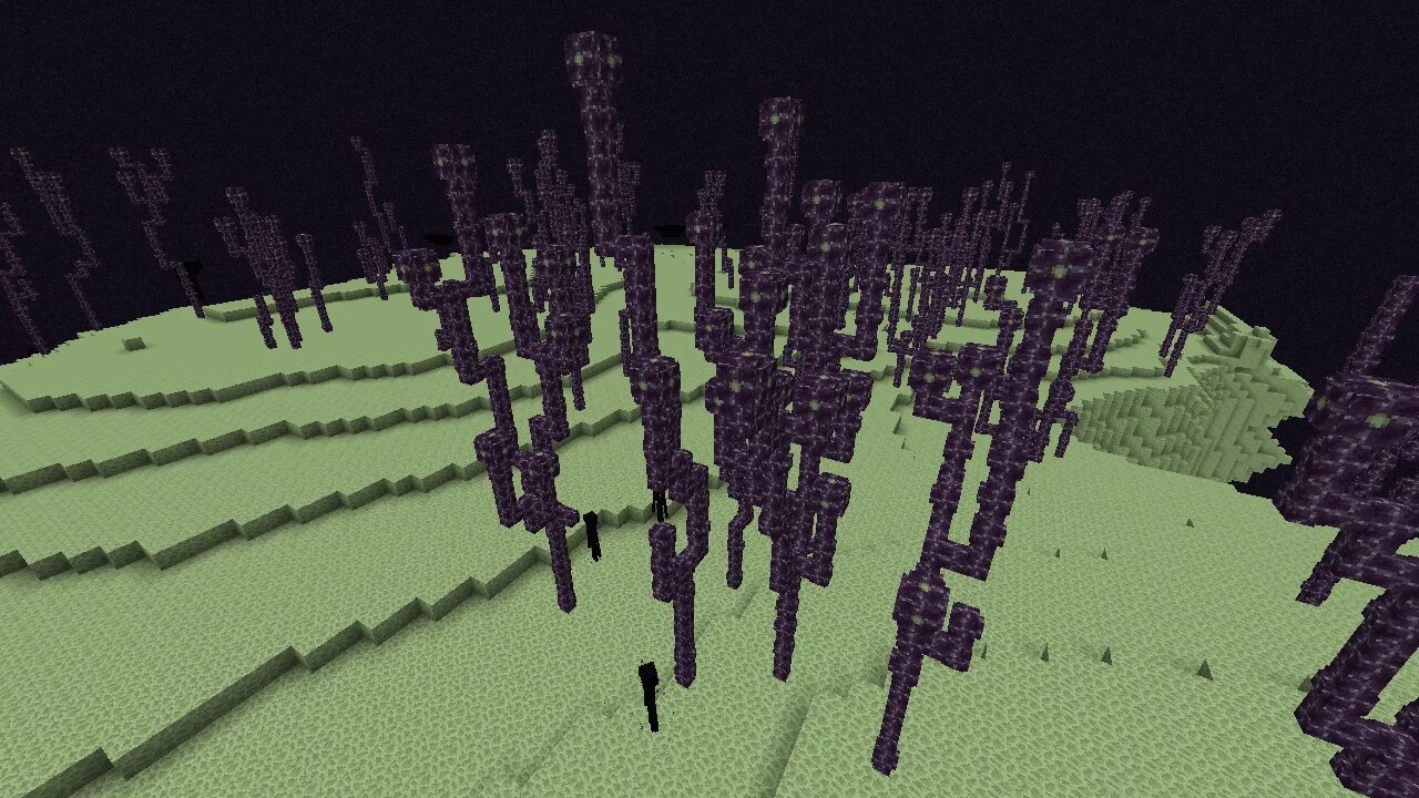 Minecraft end