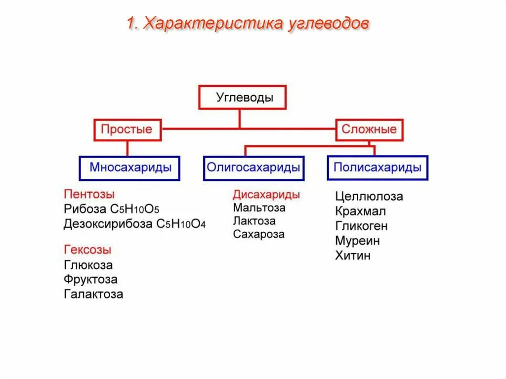 Углеводы структура и функции. Общая характеристика, функции и классификация углеводов. функции и описание углеводов таблица. классификация, функции и свойства липидов и углеводов таблица. углеводы классификация углеводов функции углеводов.
