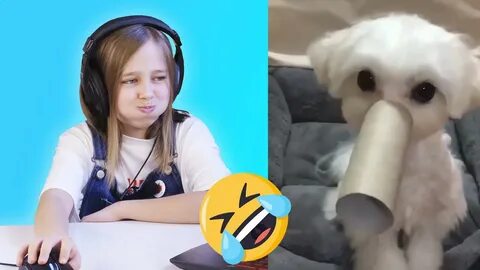 Алиса можно видео