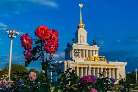 Вднх выставка стран