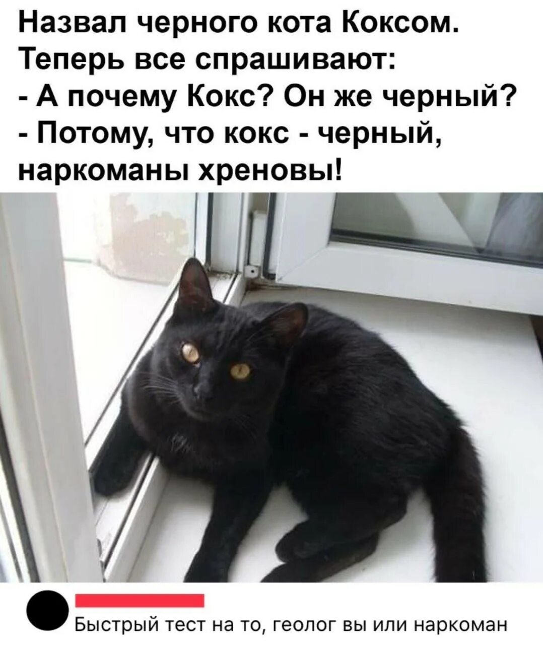 Кот кокс. Назвал кота коксом. Черный кот прикол. Кот зовет. Почему черных нельзя называть черными