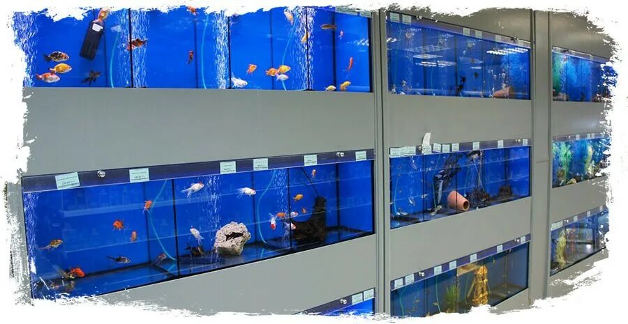 Экзоменю санкт петербург промышленная. Экзоменю санкт петербург промышленная. Гранд каньон зоомагазин. Exomenu зоомагазин. Экзоменю магазин.