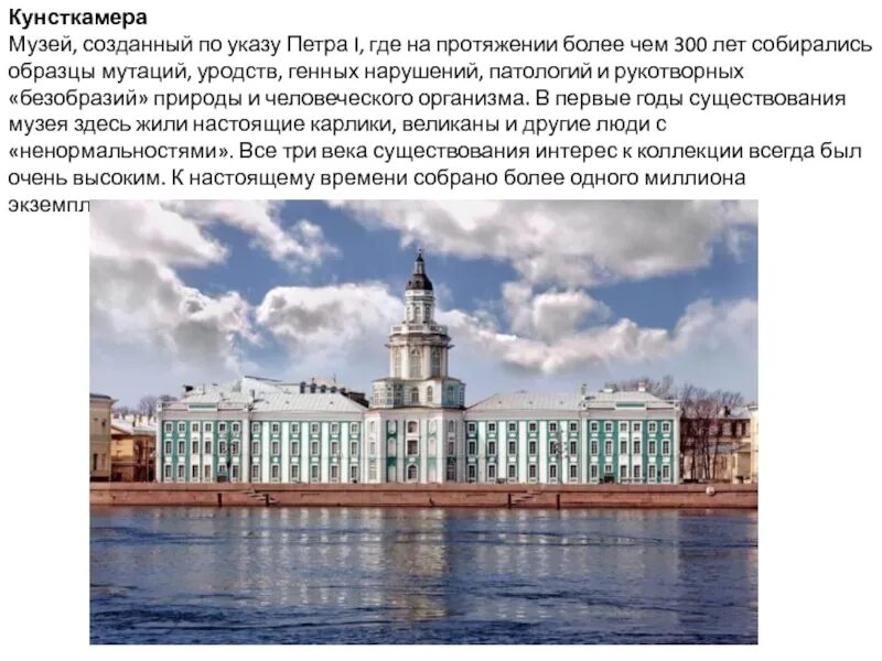 Кунсткамера санкт петербург сообщение. Кунсткамера первый музей россии. кунсткамера - первый музей россии информация.